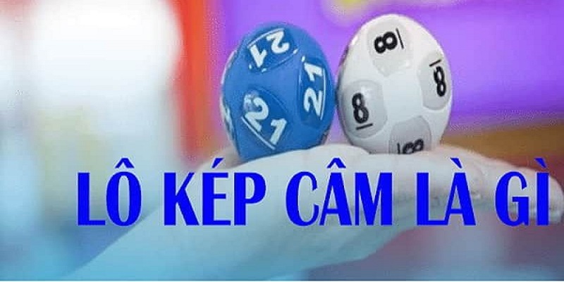 Lô kép câm là gì? Bí quyết bắt lô kép câm từ cao thủ 1 Khái niệm về lô kép câm